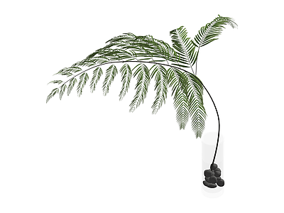 带盆绿植盆栽