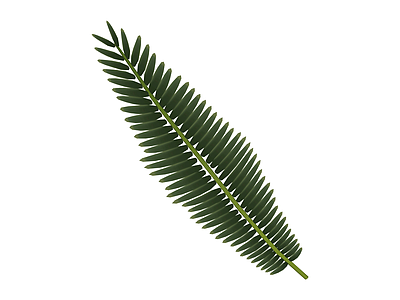 低模棕榈树叶