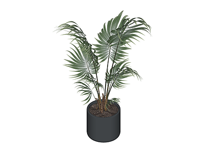 盆栽绿植模型