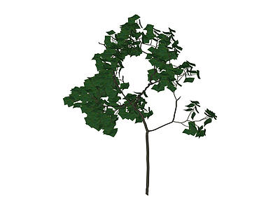 带盆绿植树木模型