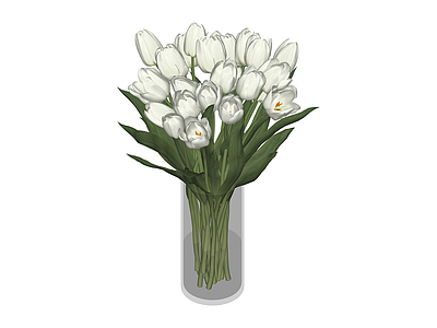 白色郁金香花瓶组合