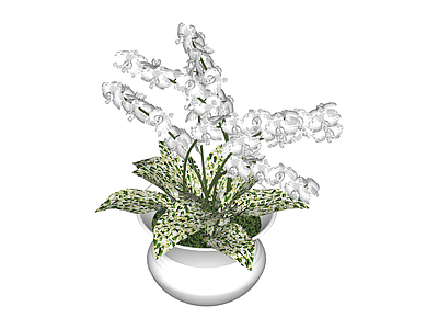 白色花盆带绿植盆栽