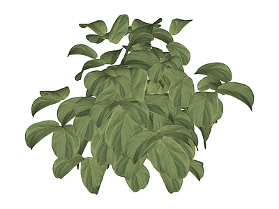 绿色灌木绿植模型