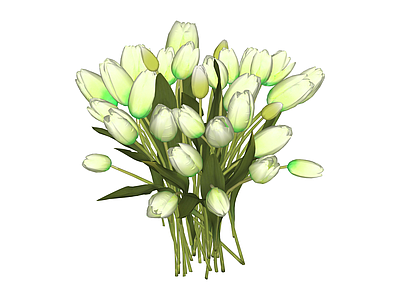 白绿配色郁金香花束