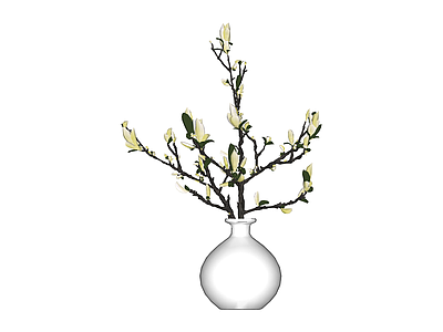白色花瓶插玉兰花枝