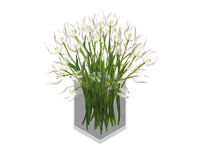 白色郁金香花艺组合