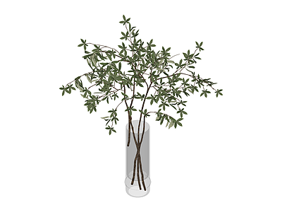 玻璃花瓶绿植组合
