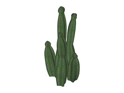 仙人掌绿植组