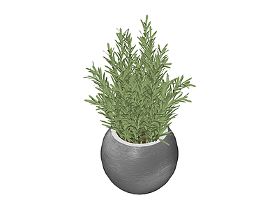 灰色圆盆绿植盆栽