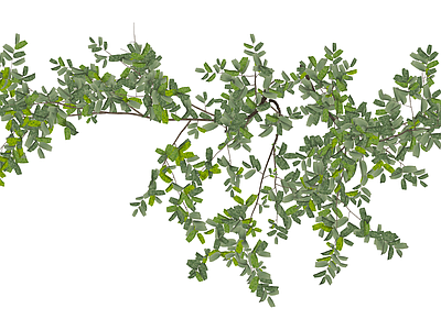独立绿植灌木模型