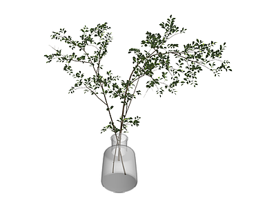 玻璃花瓶绿植组合