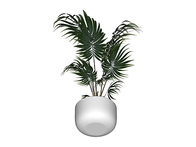 白色花盆绿植组合
