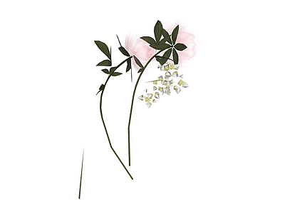 花艺植物组合组件