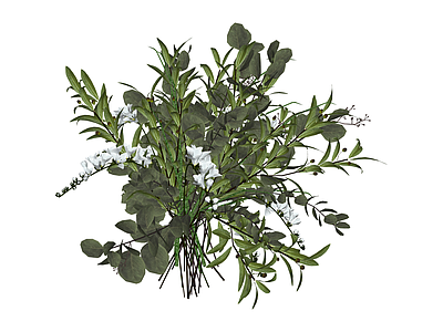 白花花艺绿植组合