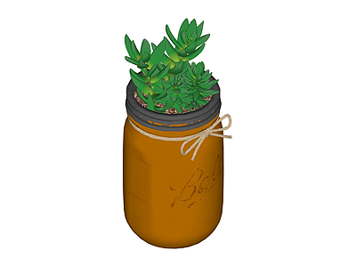 带盆多肉植物盆栽