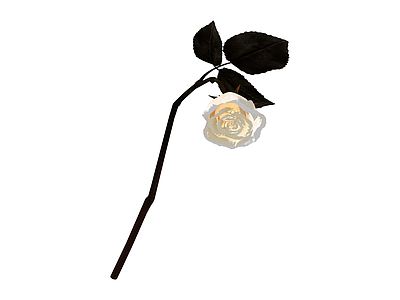 白玫瑰花艺组件
