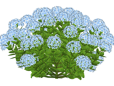 蓝色绣球花灌木模型