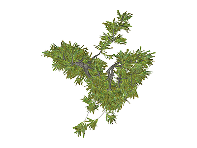 垂枝植物组件