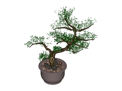 盆栽造型植物模型