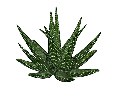 条纹绿植盆栽模型