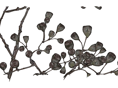 枯枝果荚植物组件