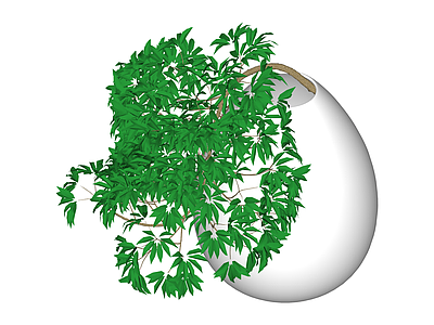 白色花瓶绿植盆栽