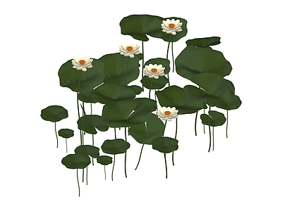 白莲花荷叶景观组合