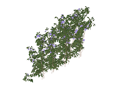 蓝花灌木植物模型