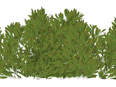茂密灌木绿植模型