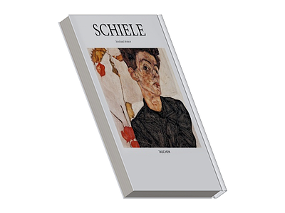 Schiele书籍立体模型
