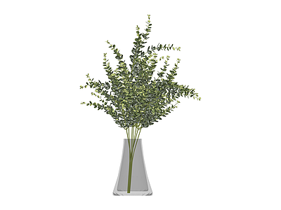 花瓶绿植组合