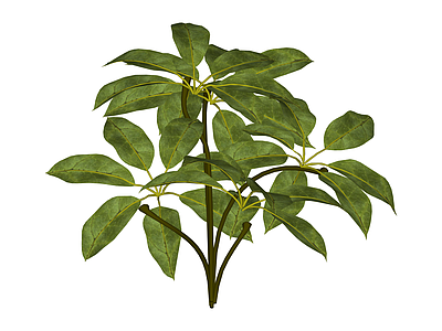仿真绿植灌木模型