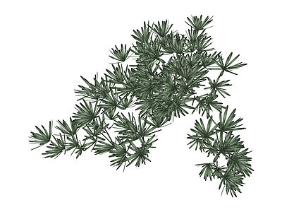 松树枝叶植物组件