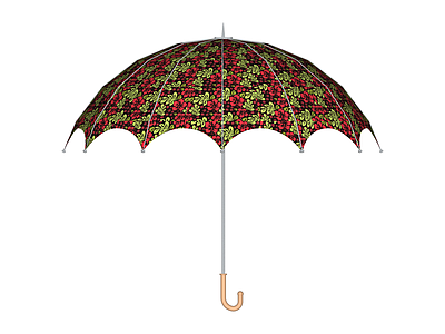 红绿花卉纹样雨伞