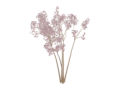 粉色干花花艺组合