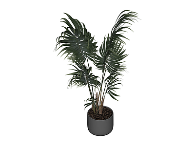 带盆绿植盆栽模型