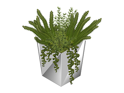 几何花盆绿植组合