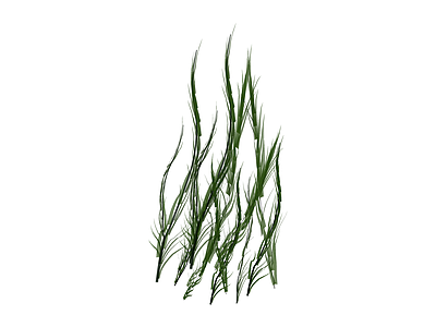 绿色草丛植物模型