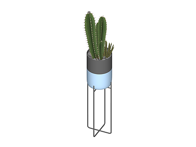 盆栽仙人掌植物组合