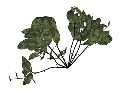 垂吊绿植植物模型