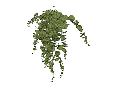 垂吊绿植组合