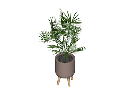 带盆绿植盆栽