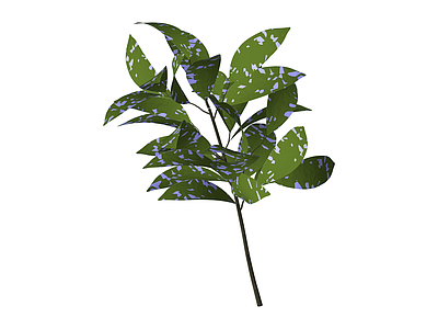 绿叶紫斑植物模型