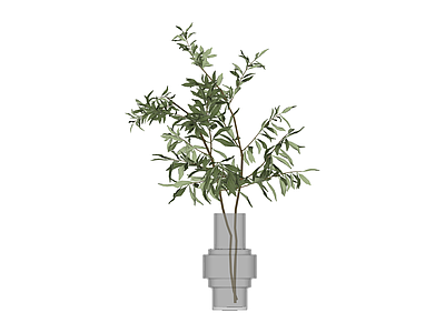 灰叶植物盆栽组合
