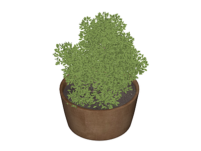 盆栽绿植模型