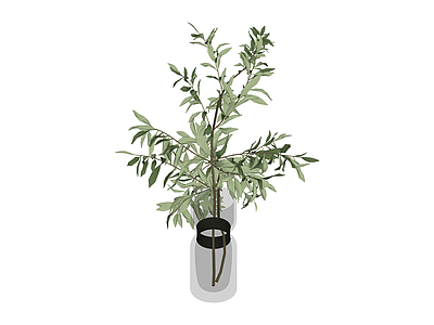 花瓶绿植组合