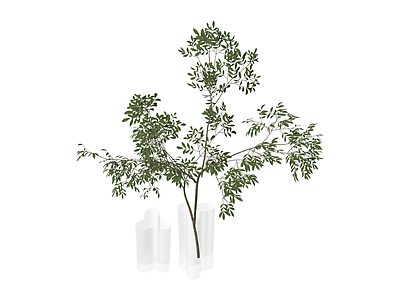 白色花瓶绿植组合