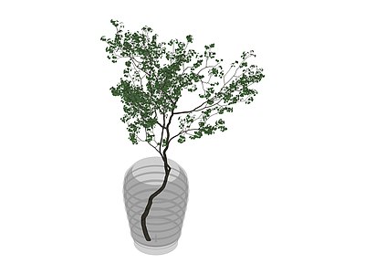 盆栽绿植模型