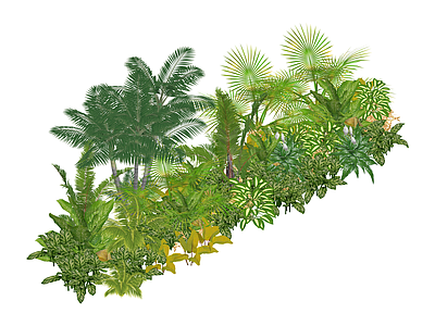 热带景观绿植组合