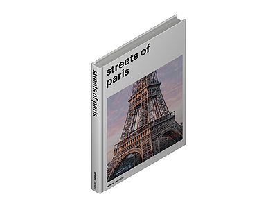 Eiffel Tower模型书籍